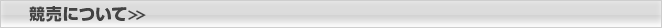 競売について＞＞