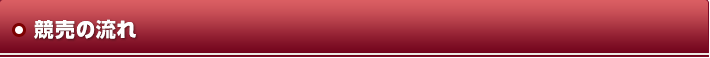 競売の流れ